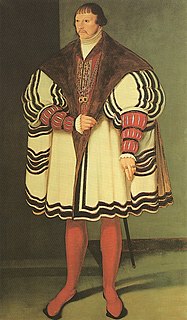 Alberto VII de Mecklemburgo