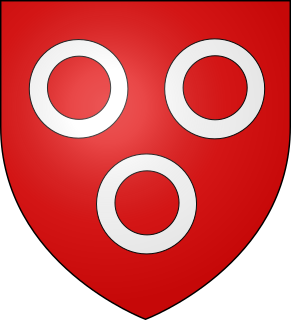 Guillem IV de Borgonya